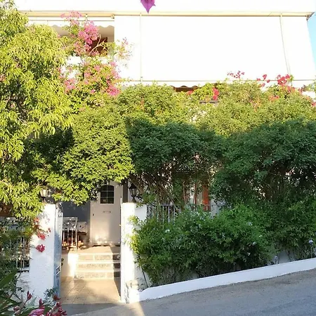 Porfiras